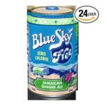 0042175197352 - BLUE SKY FREE SODA JAMAICAN GINGER ALE