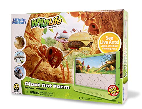 0042499000567 - UNCLE MILTON GIANT ANT FARM - LARGE VIEWING AREA - CARE FOR LIVE ANTS - NATURE LEARNING TOY - SCIENCE DIY TOY KIT - GREAT GIFT FOR BOYS & GIRLS, GREEN