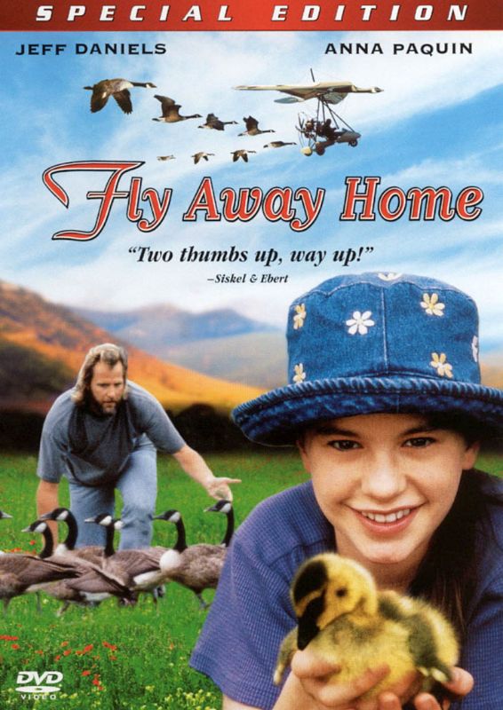 0043396060463 - FLY AWAY HOME (DVD) (SPECIAL EDITION)