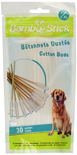0043994410042 - BAMBOOSTICK DOUBLE PACK COTTON BUDS, LARGE/X-LARGE