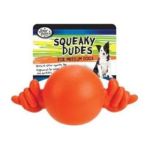 0045663209339 - SQUEAKY DUDES HANG LOOSE TOY ASSORTED MEDIUM
