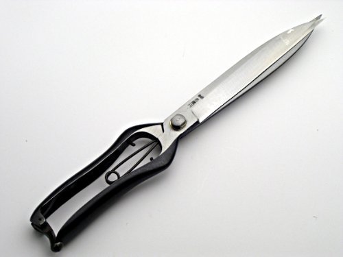 HONMAMON AZUMASYUSAKU Hunting Knife Carving of DRAGON 300mm