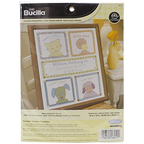0046109460192 - BUCILLA COUNTED CROSS STITCH BIRTH RECORD KIT, 10 BY 13-INCH, 46019 HERE A HUG