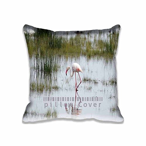 4628156398206 - FLAMINGO, KENYA UNIQUE THROW PILLOW COVERS PRINT , AFRICA PILLOWS BEDROOM COTTON CASE TRAVEL DECORATIVE PILLOWCASE SET FOR HOME AND HOTEL