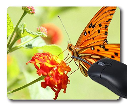 4675430159800 - BORBOLETA MOUSE PAD COMFORTABLE FEELING NATURAL RUBBER MOUSE 9X7 SMOOTH CLOTH MOUSE