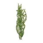 0046798191049 - CORKSCREW VAL AQUARIUM PLANT GREEN 6 IN