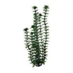 0046798191155 - AMBULIA AQUARIUM PLANT GREEN 9 IN