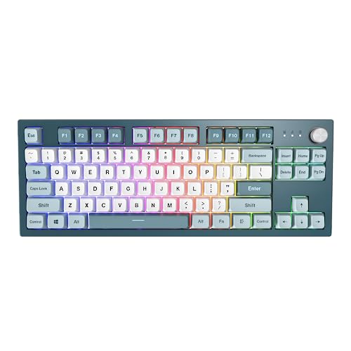 4710562745634 - MONTECH MKEY TKL MECHANICAL GAMING KEYBOARD: CUSTOMIZABLE RGB LED, PREMIUM MDA PROFILE PBT KEYCAP, HOT-SWAPPABLE GATERON G BROWN PRO 2.0 PRE-LUBED SWITCHES, OSAKA CASTLE THEME, FREEDOM (MK87FB)