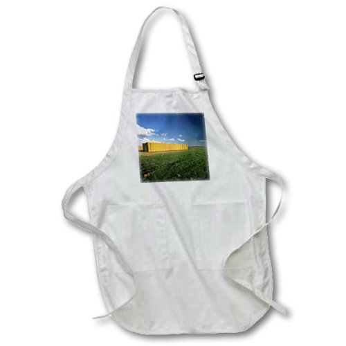 0471088290049 - DANITA DELIMONT - AGRICULTURE - AGRICULTURE, HAY BALES, PALKO VERDE VALLEY CALIFORNIA - US05 CHA0032 - CHUCK HANEY - BLACK FULL LENGTH APRON WITH POCKETS 22W X 30L (APR_88290_4)
