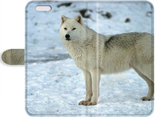 4761320481974 - BLACK FRIDAY PROMOTIONS 2015 PROTECTIVE LEATHER LEATHER CASE WITH FASHION DESIGN FOR IPHONE 5C (A WOLF IN OMEGA PARK (WDS)) 3296810PK603860665I5C WALLACE LEATHER CASE'S SHOP