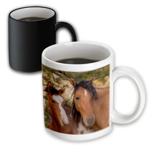 0482190787037 - DANITA DELIMONT - JAYNES GALLERY - HORSES - USA, SOUTH DAKOTA, BLACK HILLS, HORSE SANCTUARY. HORSE MARE AND COLT. - 11OZ MAGIC TRANSFORMING MUG (MUG_190787_3)