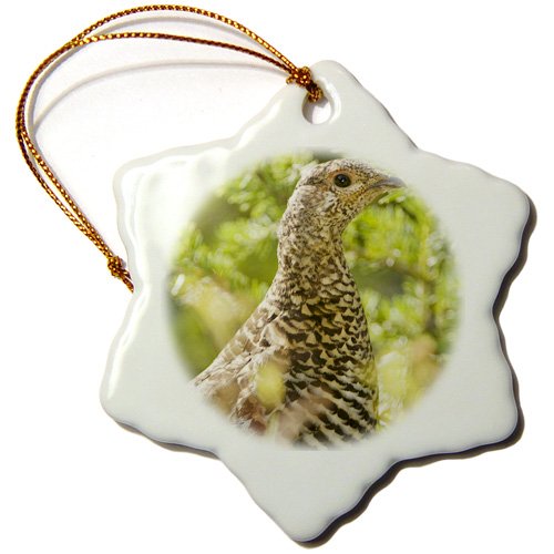 0483070431019 - 3DROSE ORN_70431_1 RUFFED GROUSE, MANNING PARK, BRITISH COLUMBIA CN02 PCL0130 PAUL COLANGELO SNOWFLAKE PORCELAIN ORNAMENT, 3-INCH