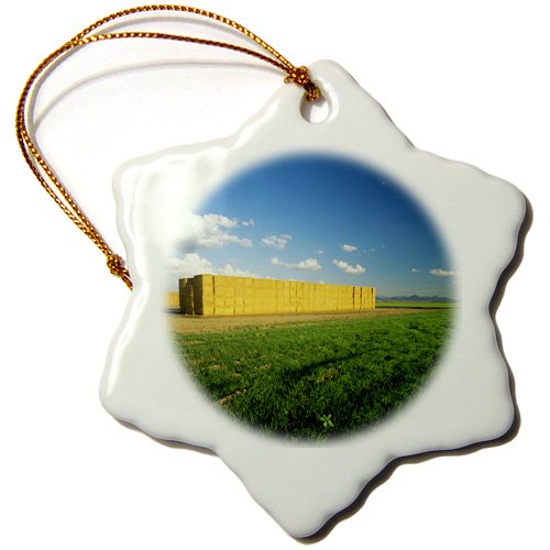 0483088290011 - DANITA DELIMONT - AGRICULTURE - AGRICULTURE, HAY BALES, PALKO VERDE VALLEY CALIFORNIA - US05 CHA0032 - CHUCK HANEY - ORNAMENTS - 3 INCH SNOWFLAKE PORCELAIN ORNAMENT (ORN_88290_1)