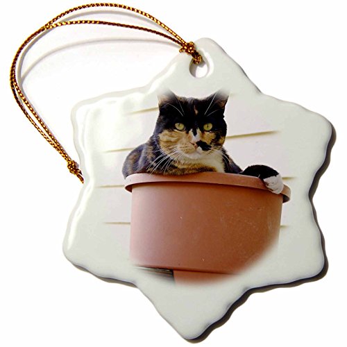 0483090944018 - 3DROSE ORN_90944_1 MASSACHUSETTS, GREENFIELD CALICO CAT US22 SPE0547 SUSAN PEASE SNOWFLAKE PORCELAIN ORNAMENT, 3-INCH