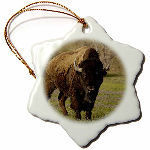 0483097520017 - 3DROSE ORN_97520_1 AMERICAN BISON DURHAM RANCH CAMPBELL WYOMING PETE OXFORD SNOWFLAKE DECORATIVE HANGING ORNAMENT, PORCELAIN, 3-INCH