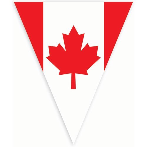 0048419724582 - AMSCAN FESTIVE CANADIAN FLAG PENNANT BANNER, 12', RED/WHITE