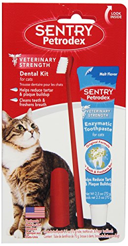 0048476225442 - SENTRY PETRODEX VS DENTAL CARE KIT CAT MALT TOOTHPASTE