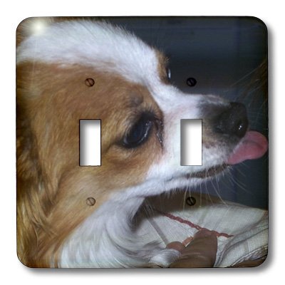 0488019085025 - LSP_19085_2 JACKIE POPP NATURE N WILDLIFE DOGS - PAPILLION NAMED SPIRIT CLEANING DADDYS EAR - LIGHT SWITCH COVERS - DOUBLE TOGGLE SWITCH
