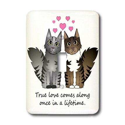 0488035528018 - 3DROSE LSP_35528_1 CUTE MAINE COON CATS TRUE LOVE COMES ALONG ONCE IN A LIFETIME SILVER AND BROWN TABBY WHITE SINGLE TOGGLE SWITCH
