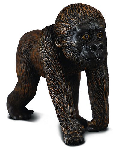 4892900880884 - COLLECTA 88088 WESTERN GORILLA BABY - REALISTIC TOY APE WILDLIFE REPLICA - PACK OF 12