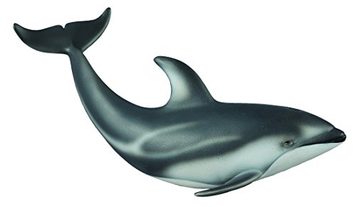 4892900886121 - COLLECTA PACIFIC WHITE-SIDED DOLPHIN