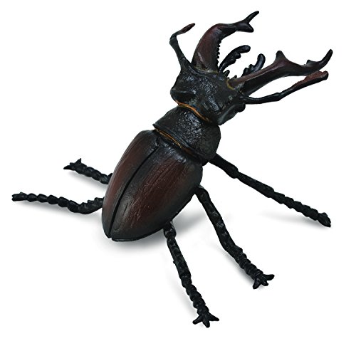 4892900887036 - COLLECT A STAG BEETLE INSECT TOY FIGURE