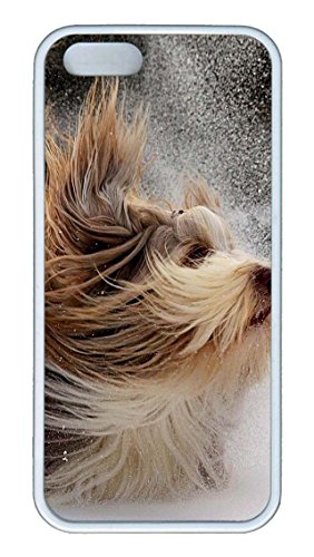 4911257965232 - IPHONE SE CASE, IPHONE 5 5S CASES TPU BEARDED COLLIE CUSTOMIZE SLIM SOFT RUBBER BUMPER CASE FOR IPHONE SE/5/5S WHITE (4 INCH)