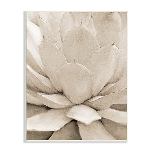 0049182383952 - STUPELL INDUSTRIES PRICKLY AGAVE PLANT MONOCHROMATIC BEIGE DESERT SUCCULENT, DESIGNED BY KIM ALLEN WALL PLAQUE, 13 X 19, WHITE