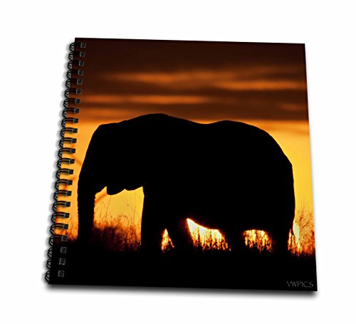 0498045676029 - 3DROSE DB_45676_2 AFRICAN ELEPHANT SILLHOUETTED AGAINST SKY AT SUNSET AND FRAMED BY SETTING SUN 'LOXODONTA AFRICANA' MEMORY BOOK, 12 BY 12-INCH