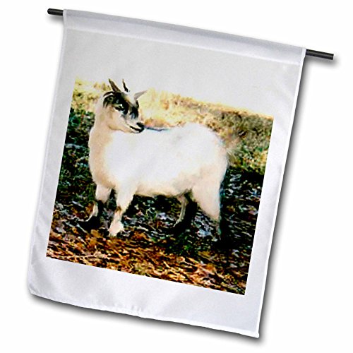 0499000819024 - FARM ANIMALS - PYGMY GOAT - 18 X 27 INCH GARDEN FLAG (FL_819_2)