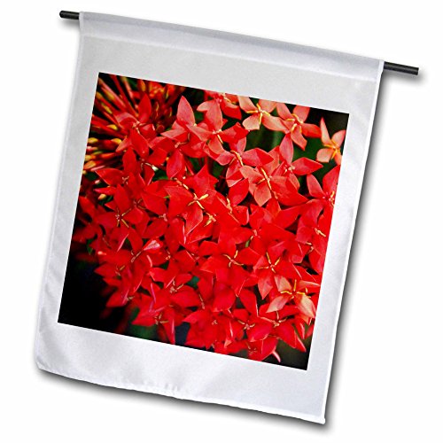 0499007502011 - FLORENE FLOWERS - RED IXORA - 12 X 18 INCH GARDEN FLAG (FL_7502_1)