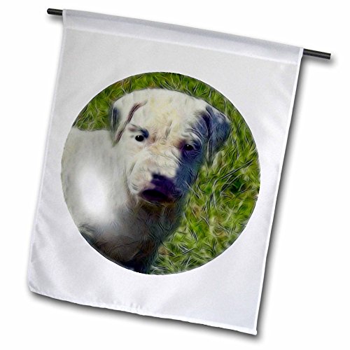 0499008136024 - SMUDGEART DOG ART DESIGNS - DOGO PUPPY - 18 X 27 INCH GARDEN FLAG (FL_8136_2)