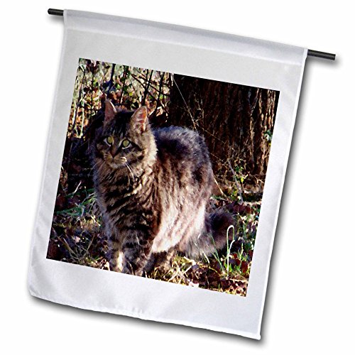 0499014758029 - REBECCA ANNE GRANT PHOTOGRAPHY DESIGNS CATS - CAT IN THE WOODS OIL PAINTING - 18 X 27 INCH GARDEN FLAG (FL_14758_2)