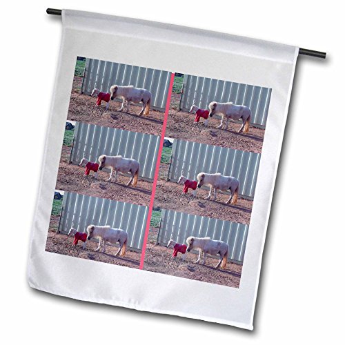 0499049527027 - JOS FAUXTOGRAPHEE REALISTIC - MAMAND NEWBORN BABY MINIATURE SHETLAND PONIES IN IVINS, UTAH MADE INTO PATTERN WITH SIX ON PAGE - 18 X 27 INCH GARDEN FLAG (FL_49527_2)