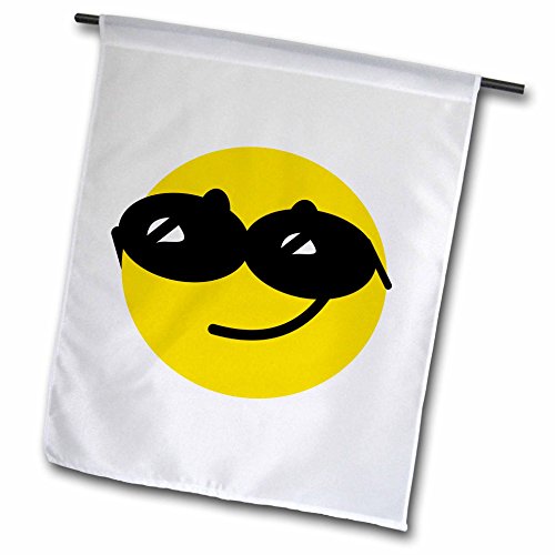 0499113114023 - INSPIRATIONZSTORE SMILEY FACE COLLECTION - FLIRTY SMILEY FACE WITH SUNGLASSES CHECKING YOU OUT COCKY CONFIDENT FLIRT CARTOON - FUN FUNNY HUMOR - 18 X 27 INCH GARDEN FLAG (FL_113114_2)