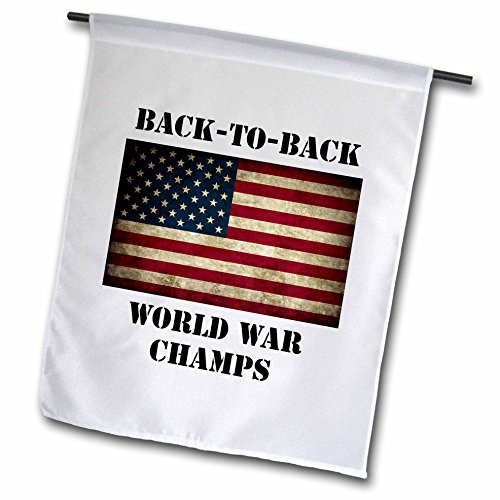 0499123038012 - 3DROSE FL_123038_1 BACK TO BACK WORLD WAR CHAMPS AMERICA AMERICAN GARDEN FLAG, 12 BY 18-INCH