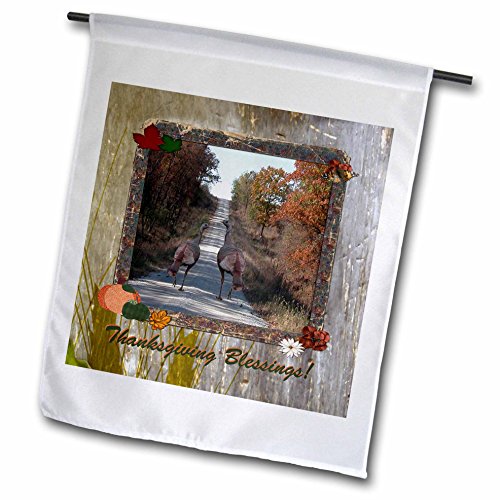 0499211514015 - BEVERLY TURNER THANKSGIVING DESIGN AND PHOTOGRAPHY - TWO TURKEY ROAD TRIP, THANKSGIVING BLESSINGS, FRAME - 12 X 18 INCH GARDEN FLAG (FL_211514_1)