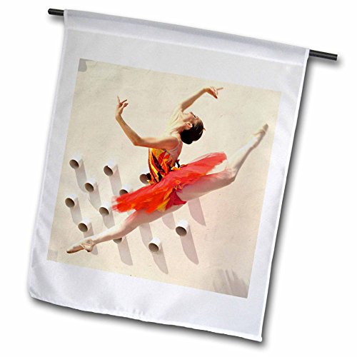 0499216041028 - KIKE CALVO WORLD OF DANCES - BALLERINA DANCING AND LEAPING WITH A RED DRESS FROM EL QUIJOTE - 18 X 27 INCH GARDEN FLAG (FL_216041_2)