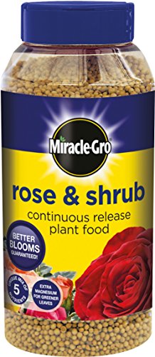 5010272076516 - MIRACLE-GRO SLOW RELEASE ROSE AND SHRUB FOOD 1KG