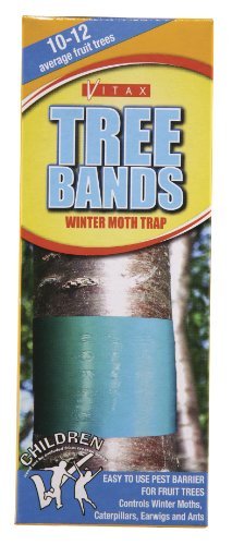 5012042010409 - VITAX TREE BANDS (2 PIECES)