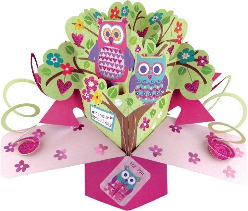 5034527245373 - SECOND NATURE A FEMALE ON YOUR SPECIAL DAY WITH OWLS ON A BRANCH POP UP GREETING CARD