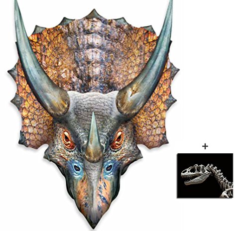 5052310841977 - FAN PACK - TRICERATOPS 3D EFFECT DINOSAUR POP OUT CARDBOARD CUTOUT WALL ART - INCLUDES 8X10 (20X25CM) PHOTO