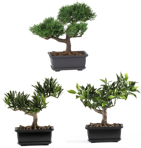 5053204577453 - NEARLY NATURAL 4122 BONSAI DECORATIVE SILK PLANT COLLECTION, 8.5-INCH, GREEN, SET OF 3