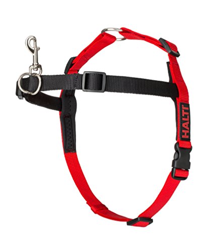 5053368020031 - THE COMPANY OF ANIMALS HALTI HARNESS - BLACK & RED - LARGE
