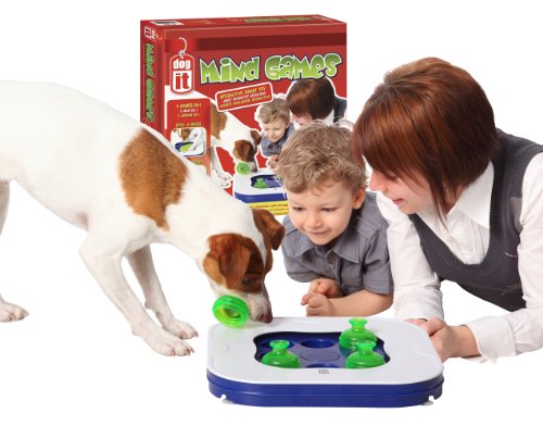 5054251304825 - DOGIT MIND GAMES 3-IN-1 INTERACTIVE SMART TOY FOR DOGS