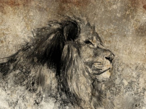 5054270122943 - PAINTING DRAWING SKETCH ANIMAL LION MALE SEPIA ART PRINT POSTER MP3840B