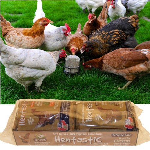 5055281350387 - HENTASTIC FORAGE CAKE VALUE TWIN PACK WITH MINT, PARSLEY, GARLIC & GINGER 2 X 350G.