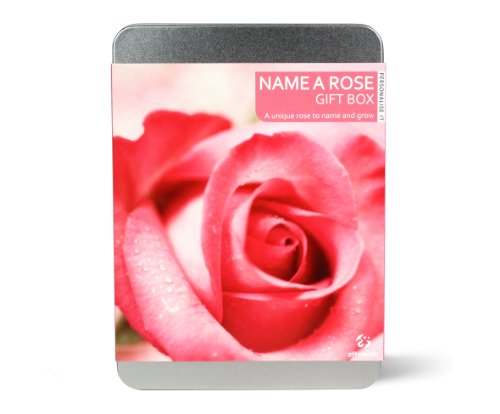 5060129250002 - GIFT REPUBLIC NAME A ROSE GIFT BOX. GROW AND NAME YOUR OWN ROSE