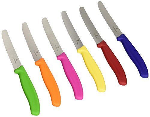 5060357999834 - VICTORINOX SWISS STAINLESS STEEL 6 PIECE ROUND 4.5 INCH SERRATED STEAK KNIFE SET WITH GREEN, ORANGE, PINK, YELLOW, RED, AND BLUE FIBROX HANDLES