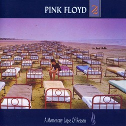 5099969515927 - CD PINK FLOYD - A MOMENTARY LAPSE OF REASON